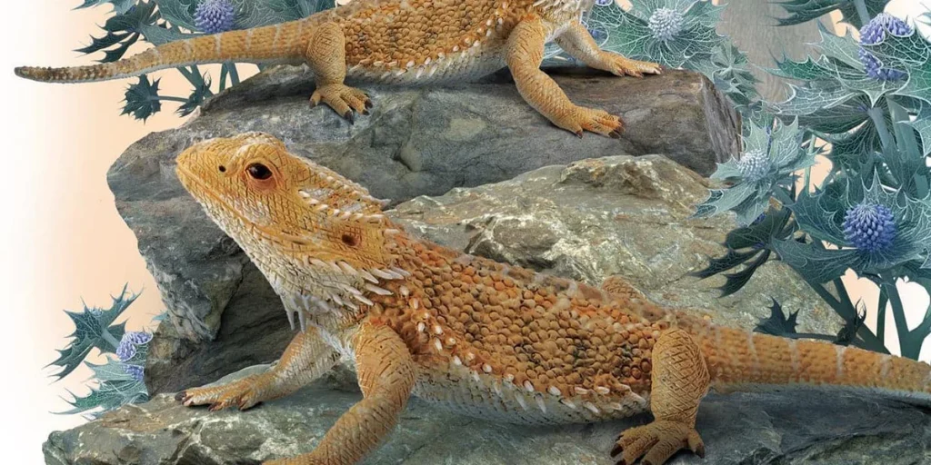 What’s the Best Diet for a Pet Lizard?