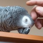 Can Birds Recognize Their Owners?