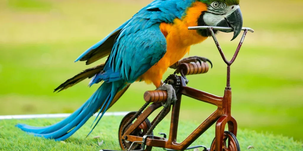 What Should I Feed My Pet Bird Daily?