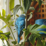 How Do I Keep My Bird Entertained Indoors?